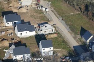 P1580203 2023 02 08 Allée Des Aigrettes, Des Spatules